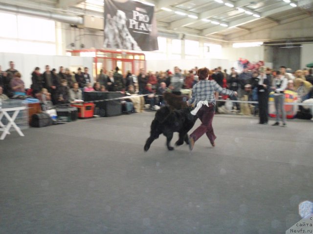 Фото: [d8590]и, Tat'yana Abutova (Татьяна Абутова)