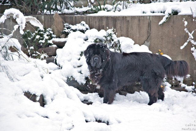 Фотография № 58520