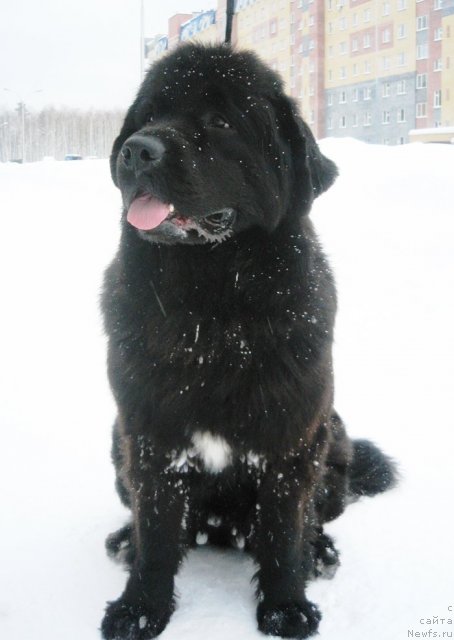 Фотография № 58674