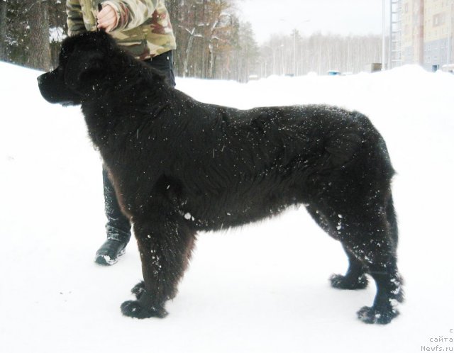 Фотография № 58675