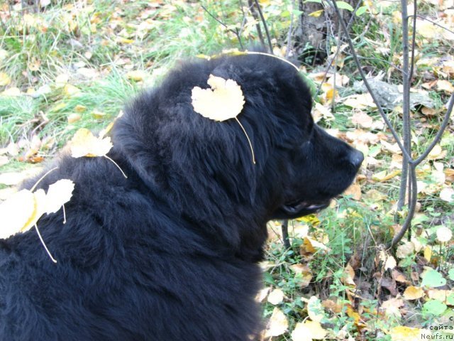 Фотография № 58699