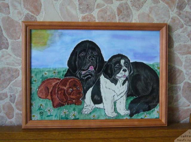 Фотография № 5870