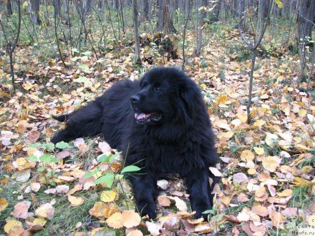 Фотография № 58704