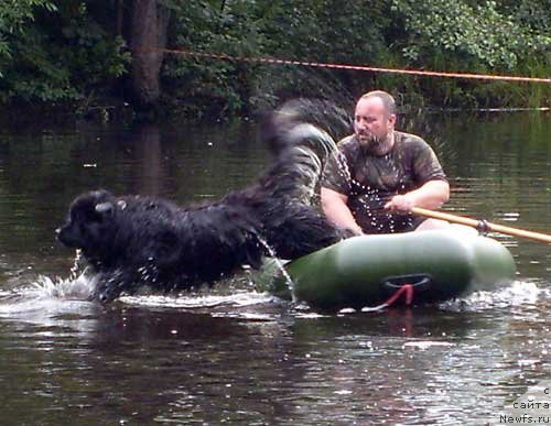 Фотография № 58709