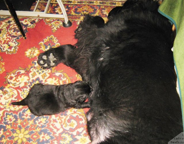 Фотография № 58716