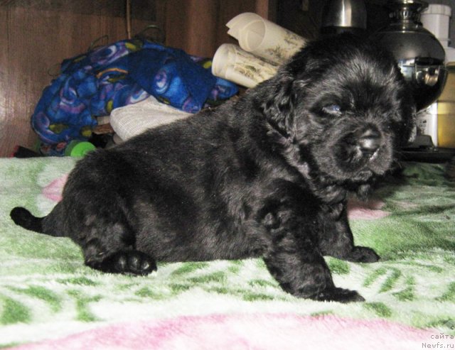 Фотография № 58721