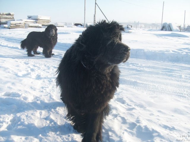 Фотография № 58734