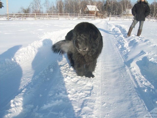 медвежий яр 1