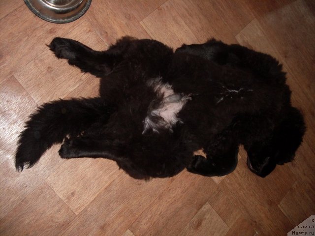 Фотография № 58753