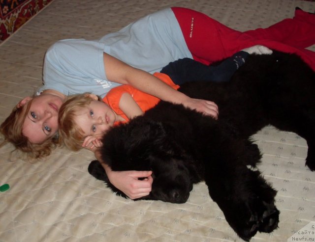 Фотография № 58754