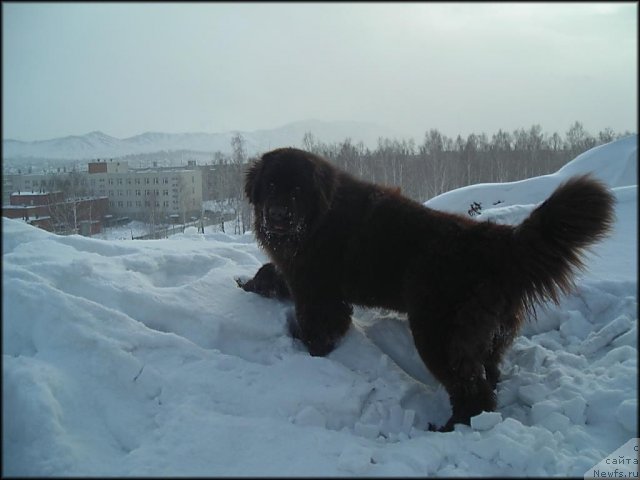 Фотография № 58767