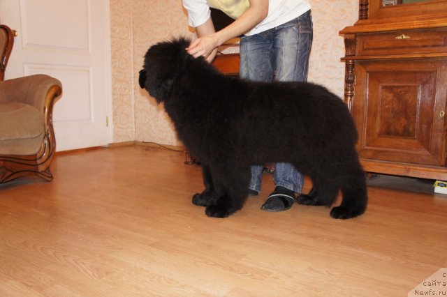 Фотография № 58775