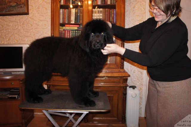 Фотография № 58777