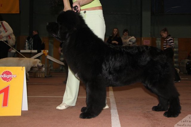 Фотография № 58797