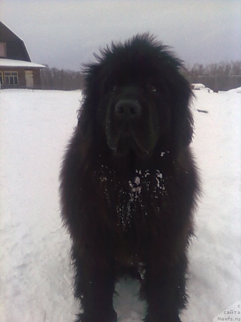 Фотография № 58800