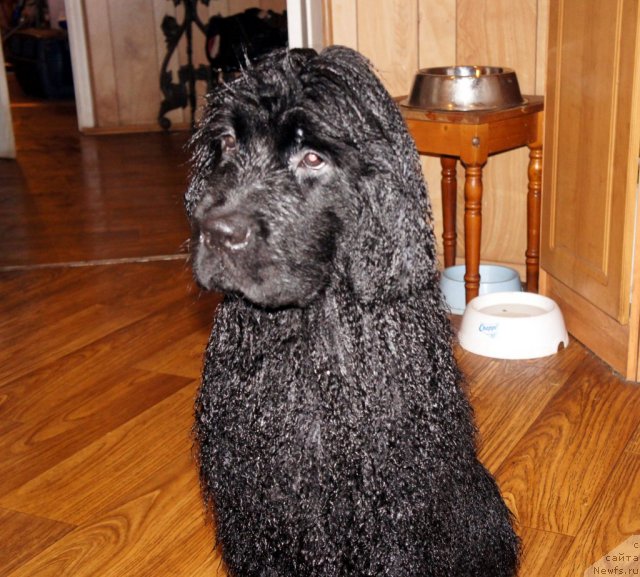 Фотография № 58808