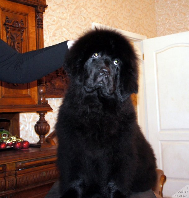 Фотография № 58814