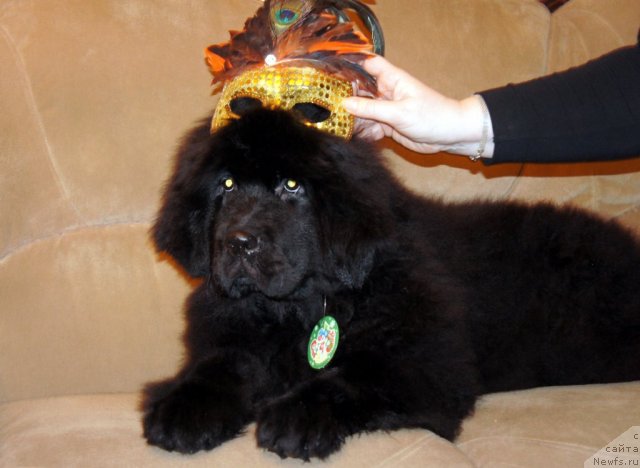 Фотография № 58815