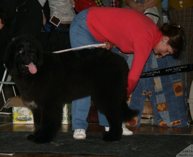 Фото: Фиаметтахауз Нусакан