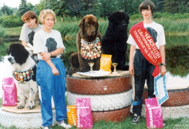 Фотография № 58926