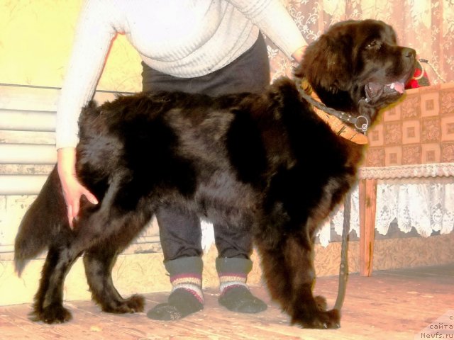 Фотография № 58967