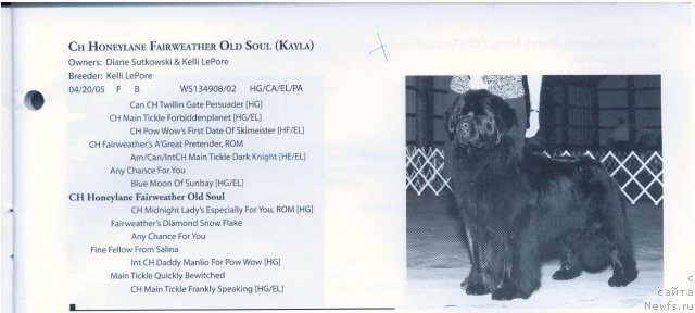 Фотография № 59043