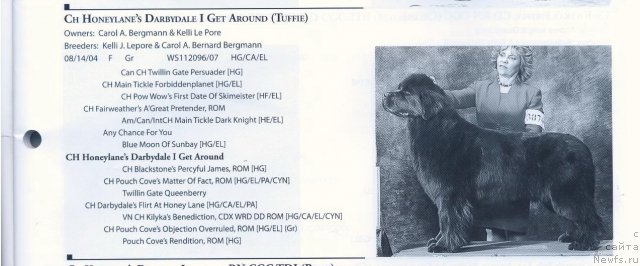 Фотография № 59047