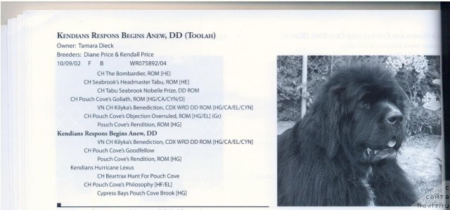 Фотография № 59051