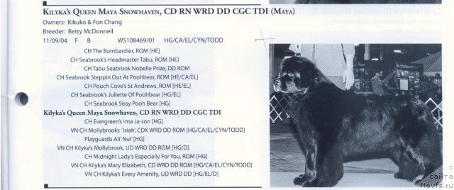 Фотография № 59059