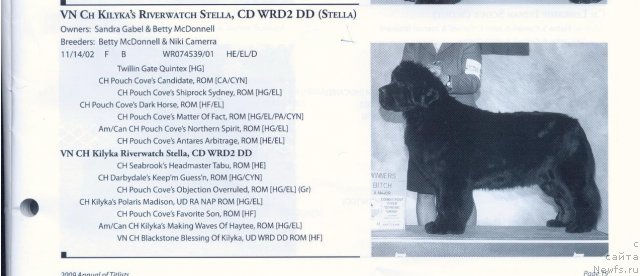 Фотография № 59060