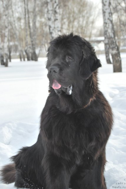 Фотография № 59070