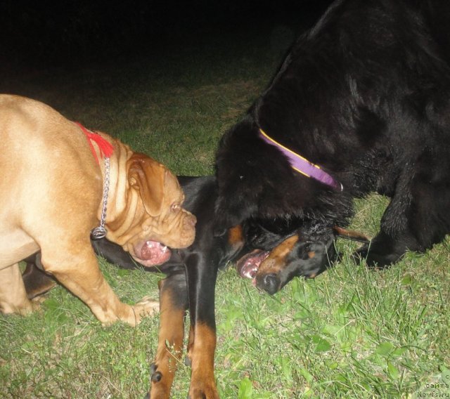 Фото: Viktoriya Fedorova (Виктория Федорова)