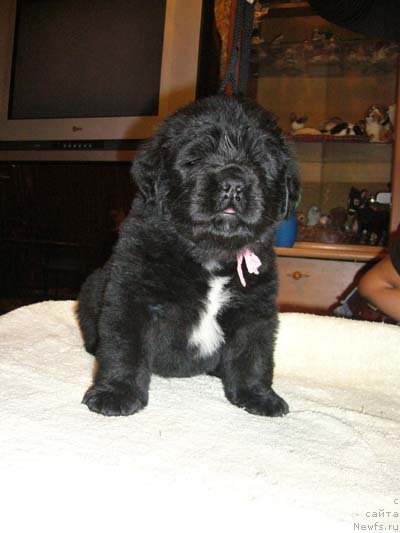 Фотография № 59127