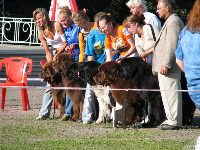 Фотография № 59143