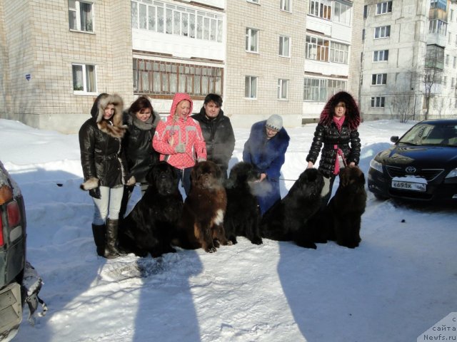 Фотография № 59153