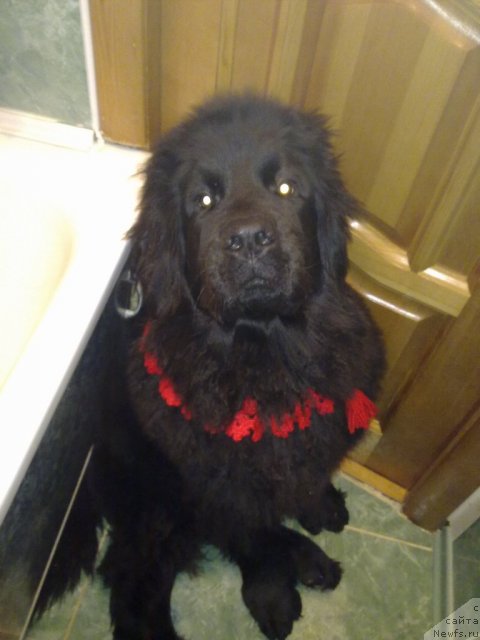 Фотография № 59161