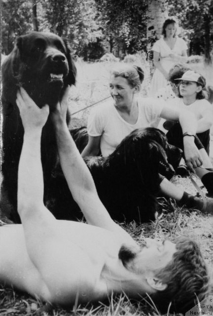 Фото: ньюфаундленд Hyeyli (Хэйли), Aleksandr Jakov (Александр Жаков)