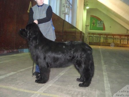 Фотография № 59204