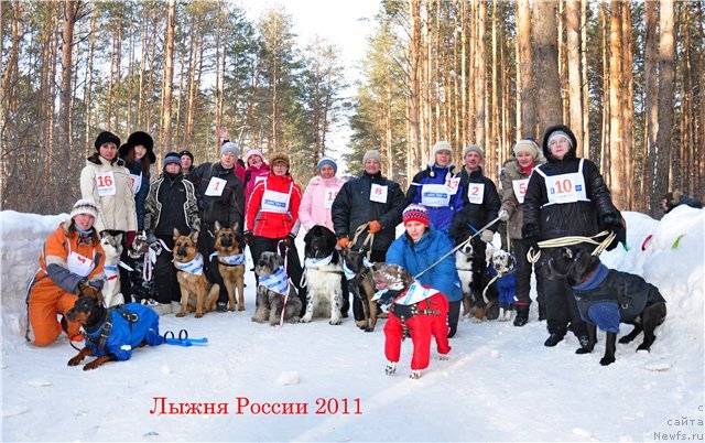 Фото: Собаководы города и их питомцы, ньюфаундленд Kiper Soul Jemchujina Belaya (Кипер Соул Жемчужина Белая), Marina Devyatova (Марина Девятова)