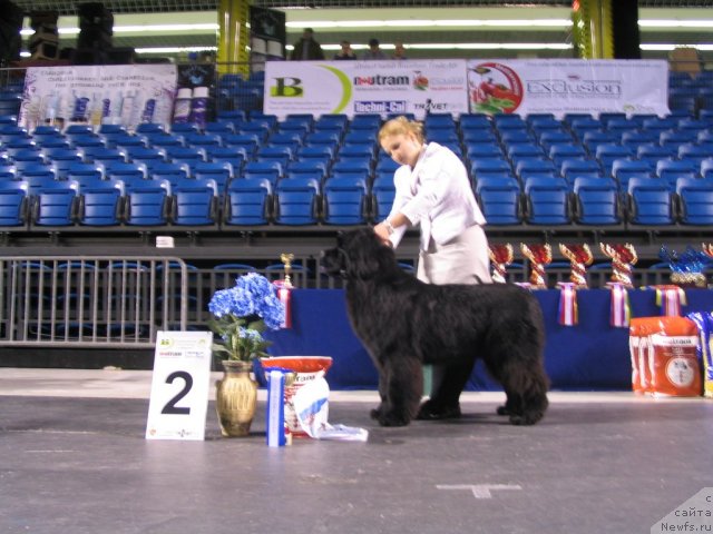 Фотография № 59228