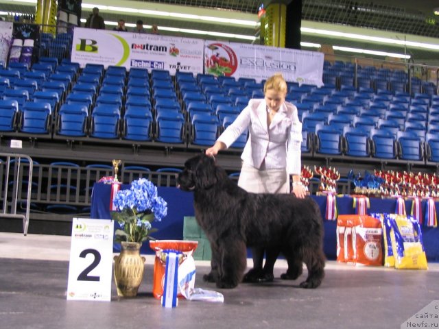 Фотография № 59230