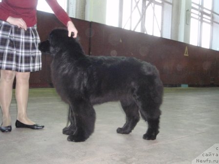 Фотография № 59242