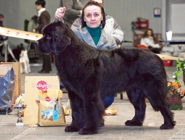 Фотография № 59253