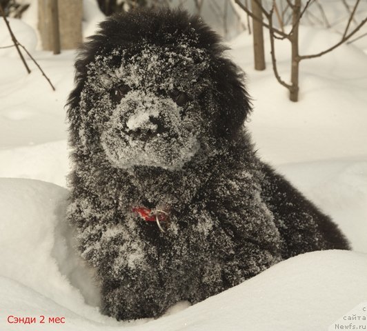 Фотография № 59274