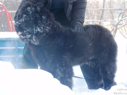 Фотография № 59288