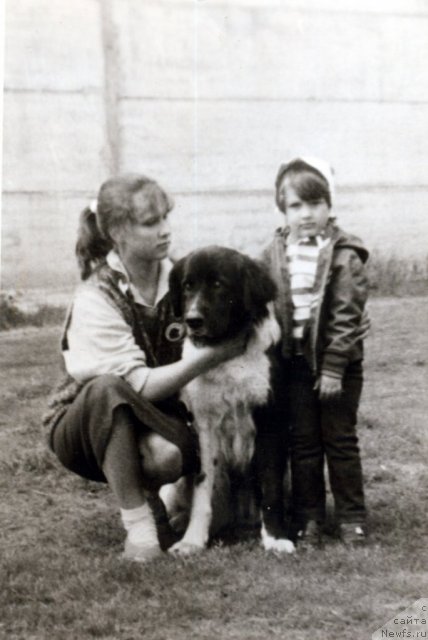 Фото: Надежда Олеск, ньюфаундленд Varvara (Варвара), Kseniya Dudina (Ксения Дудина)