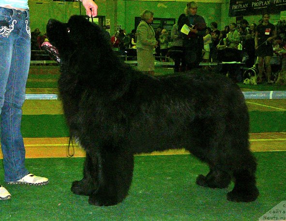 Фотография № 59351