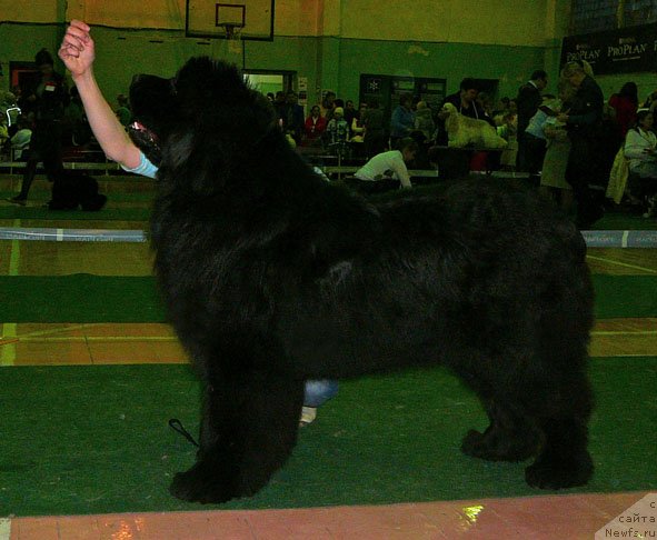 Фотография № 59352