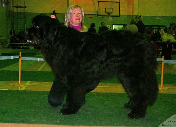 Фотография № 59354