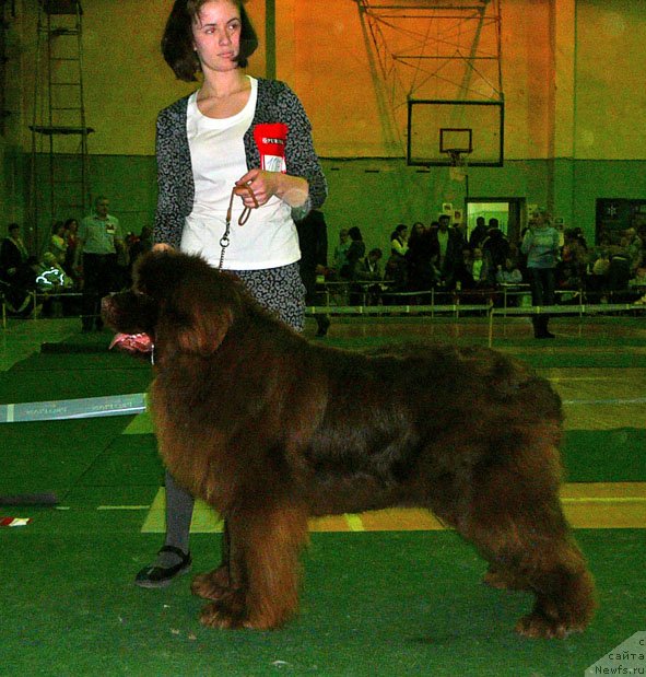 Фотография № 59356